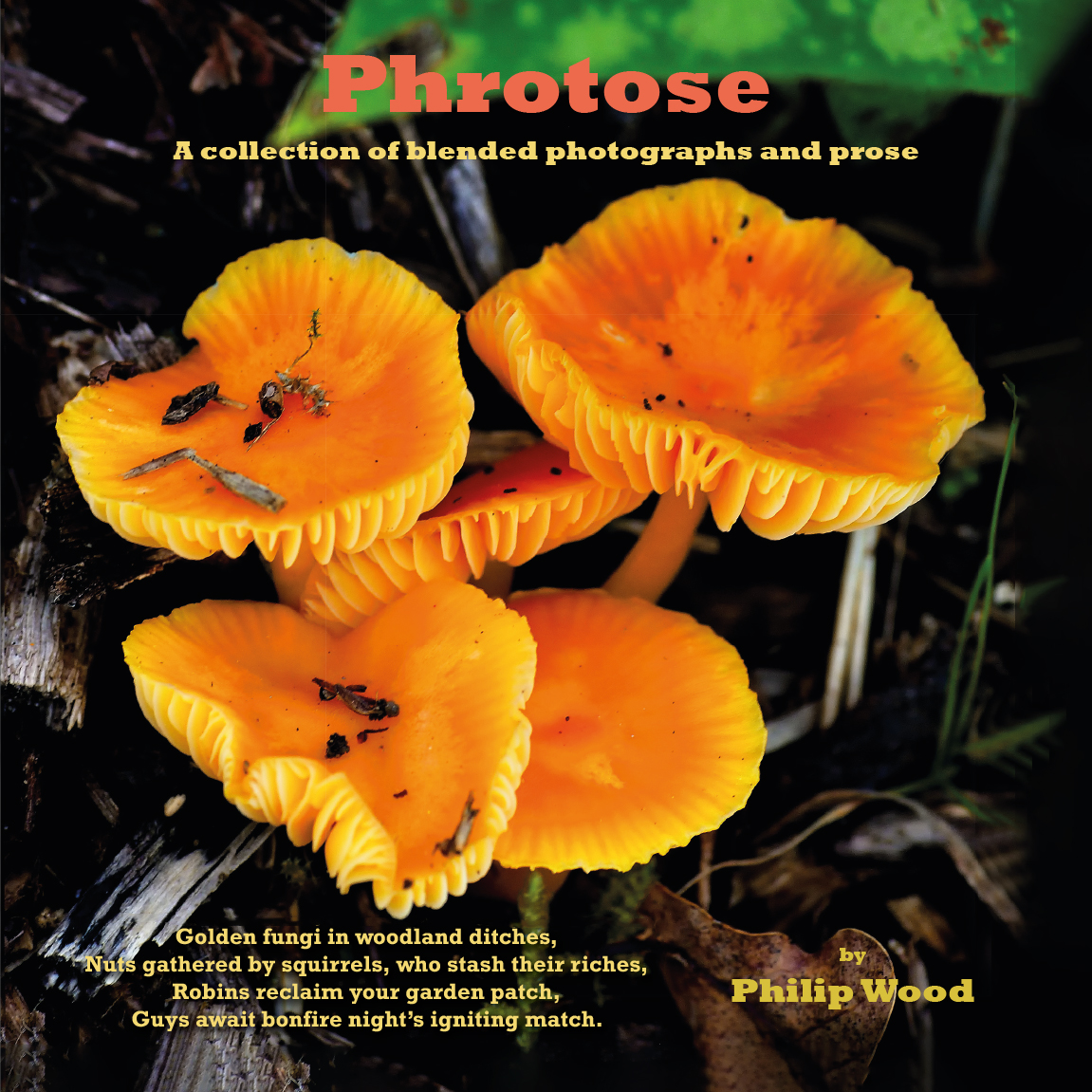 This image is the cover for the book Phrotose