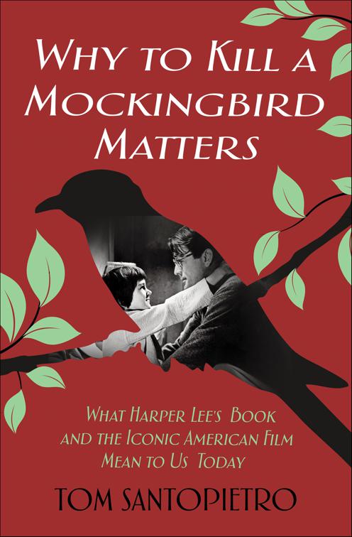 Why to Kill a Mockingbird Matters