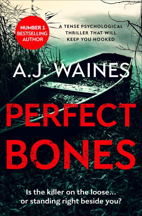 Perfect Bones, The Samantha Willerby Mysteries