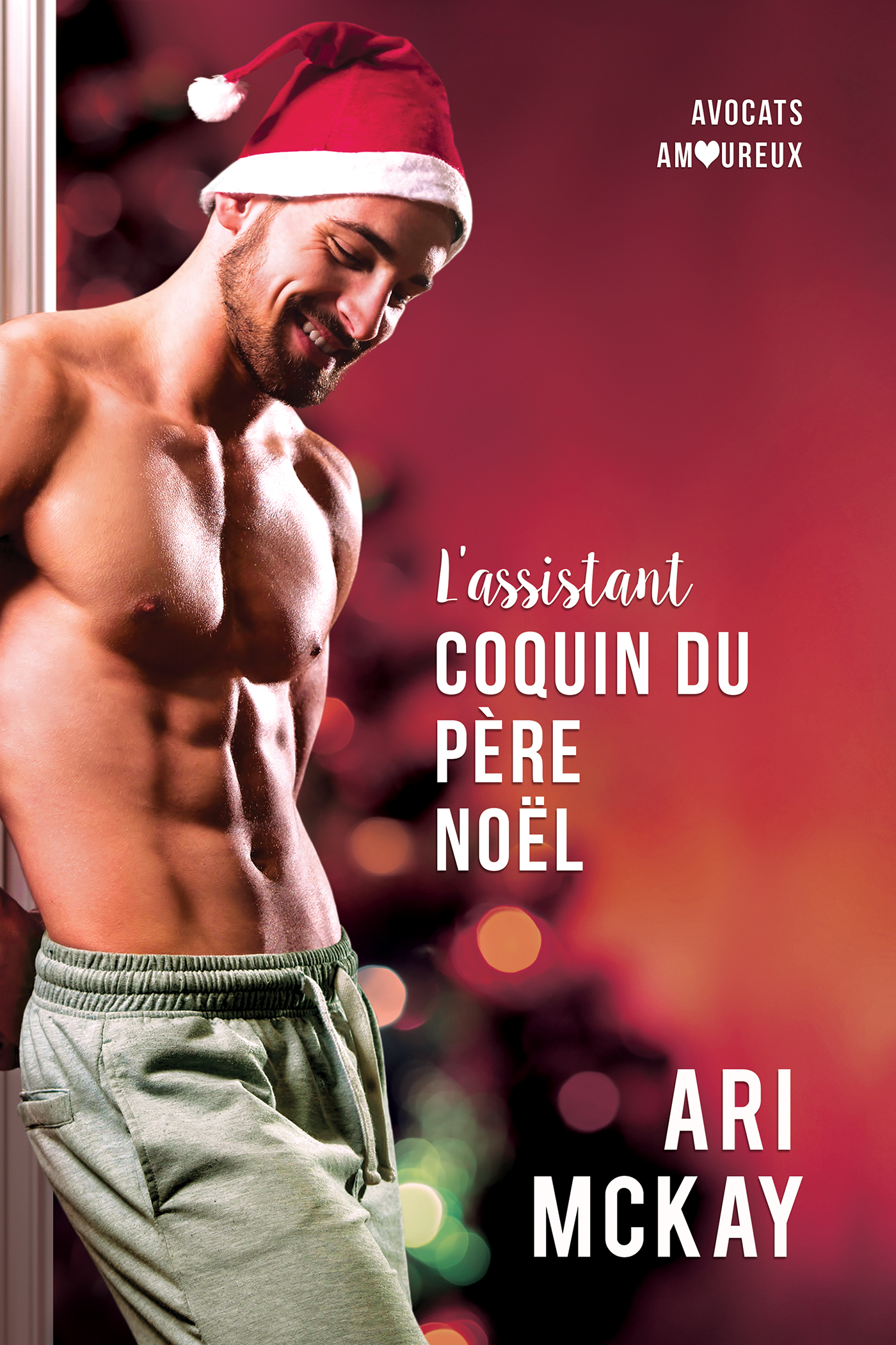 L’assistant coquin du Père Noël, Avocats amoureux