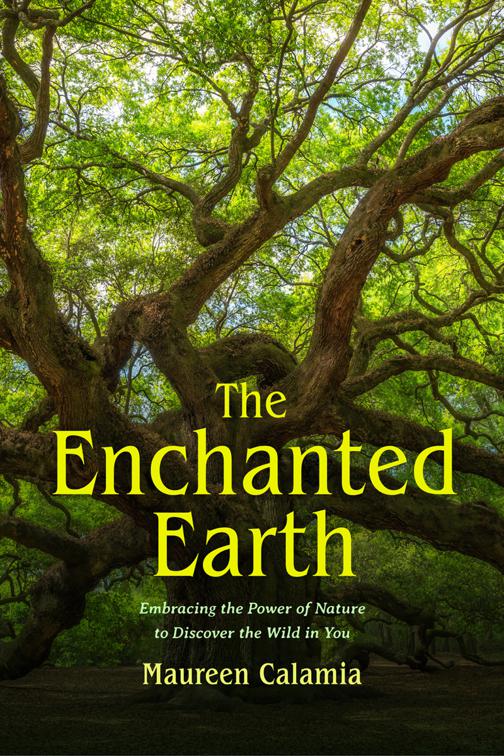 Enchanted Earth