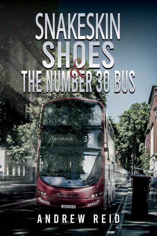 Snakeskin Shoes &amp; the Number 30 Bus