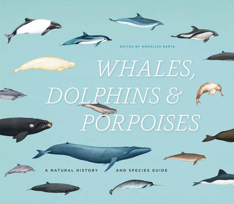 Whales, Dolphins &amp; Porpoises