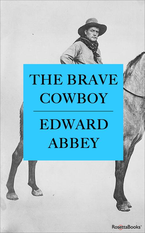 Brave Cowboy