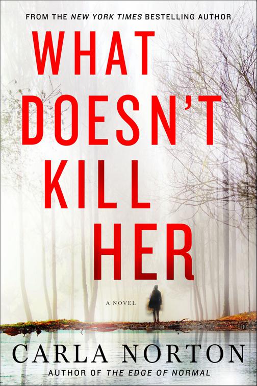 What Doesn&#x27;t Kill Her, Reeve LeClaire Series