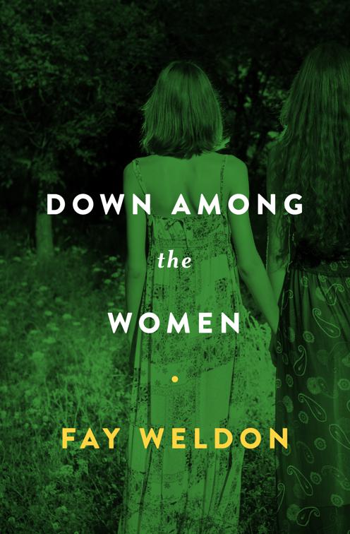 This image is the cover for the book Down Among the Women