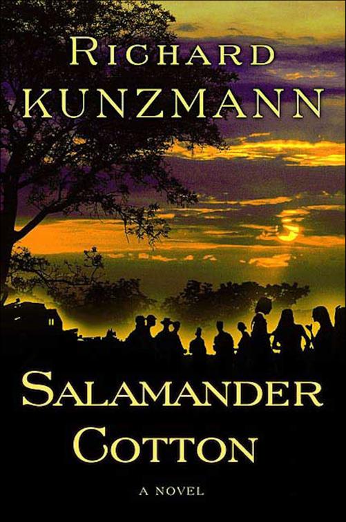 Salamander Cotton, Jacob Tshabalala