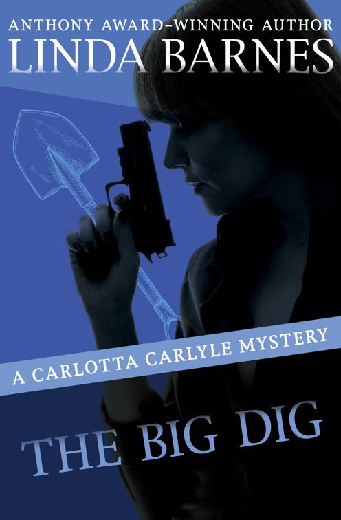 Big Dig, The Carlotta Carlyle Mysteries