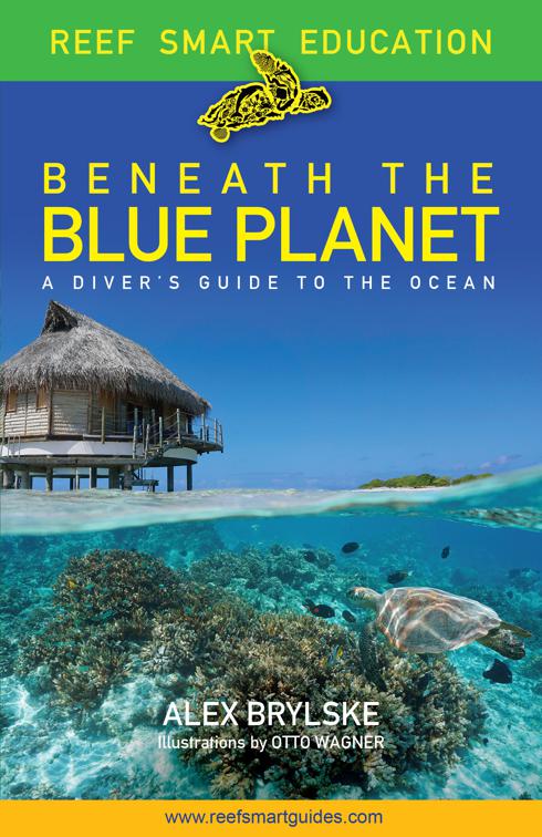 Beneath the Blue Planet, Reef Smart Education