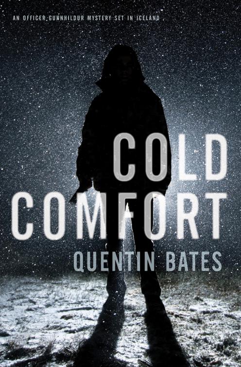 Cold Comfort, The Officer Gunnhildur Mysteries