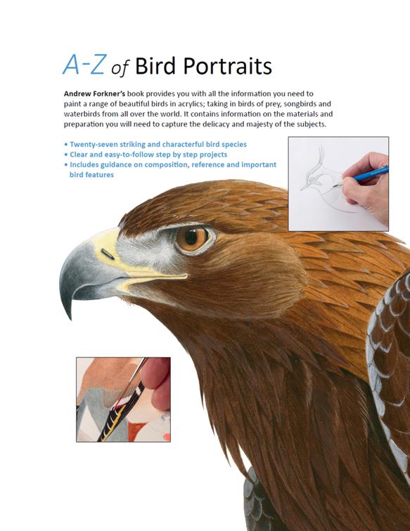 A–Z of Bird Portraits
