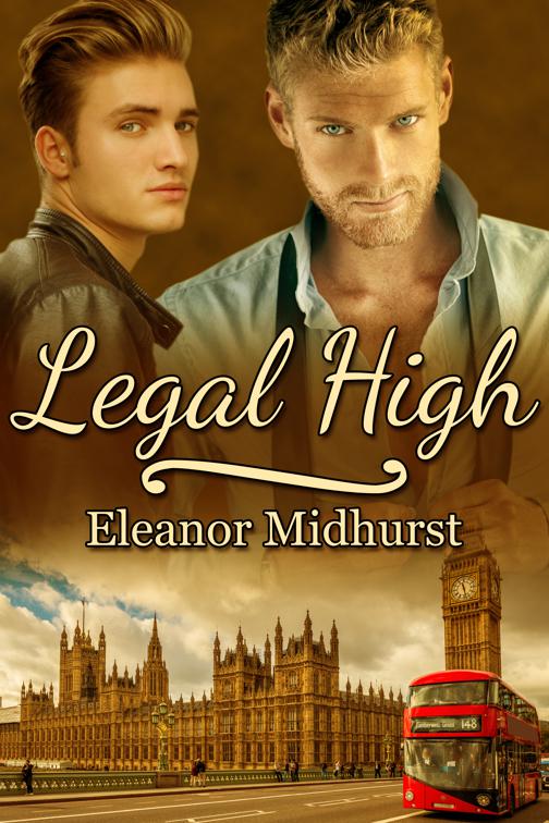 This image is the cover for the book Legal High