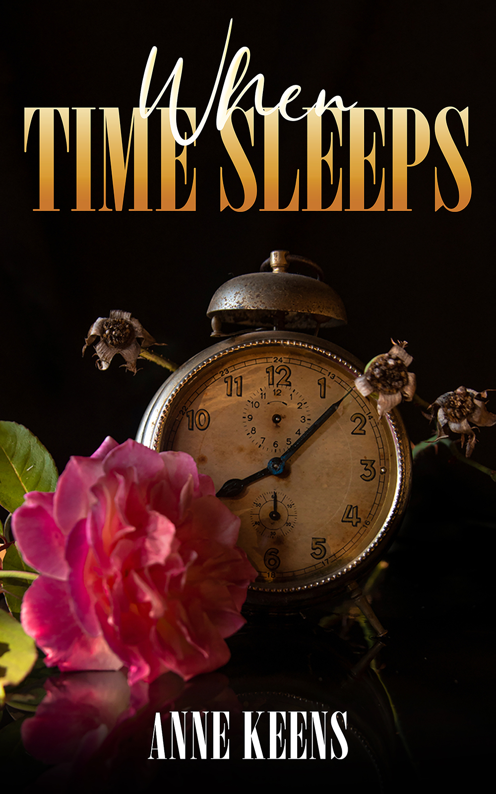 This image is the cover for the book When Time Sleeps