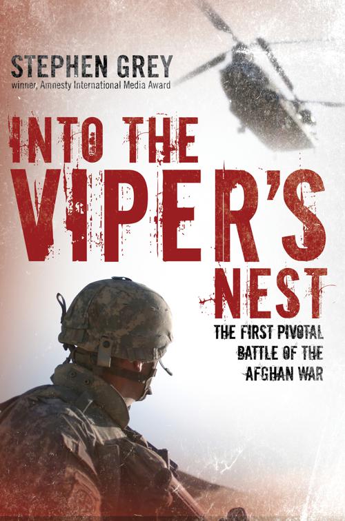 Into the Viper&#x27;s Nest
