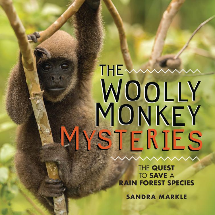 Woolly Monkey Mysteries, Sandra Markle&#x27;s Science Discoveries