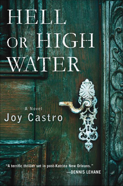 Hell or High Water, Nola Céspedes Novels