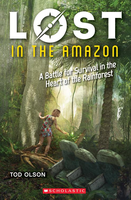 Lost in the Amazon, Lost
