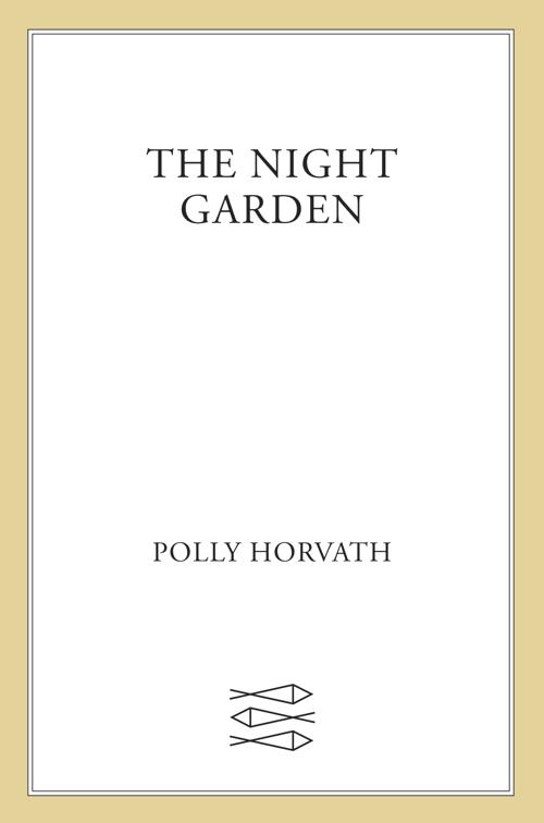 Night Garden