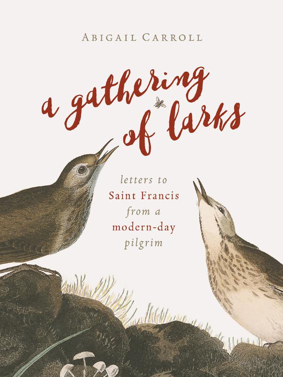 This image is the cover for the book A Gathering of Larks