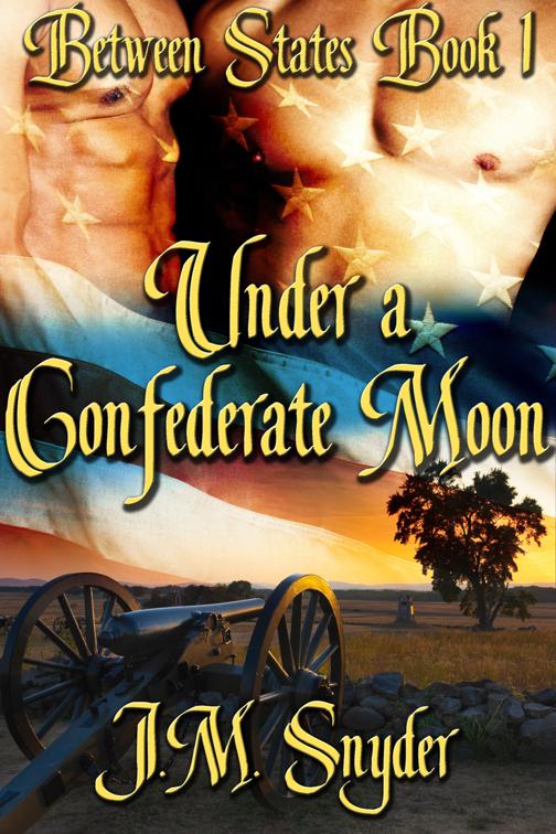 Under a Confederate Moon, Between States