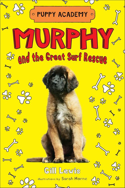 Murphy and the Great Surf Rescue, Puppy Academy