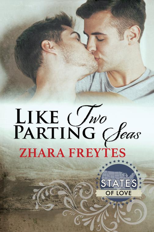 This image is the cover for the book Like Two Parting Seas, States of Love