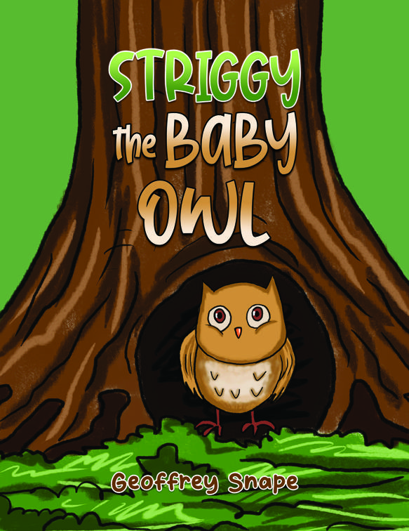 Striggy the Baby Owl