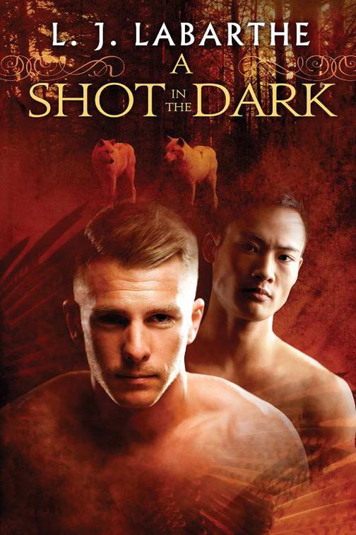 This image is the cover for the book A Shot in the Dark, Archangel Chronicles