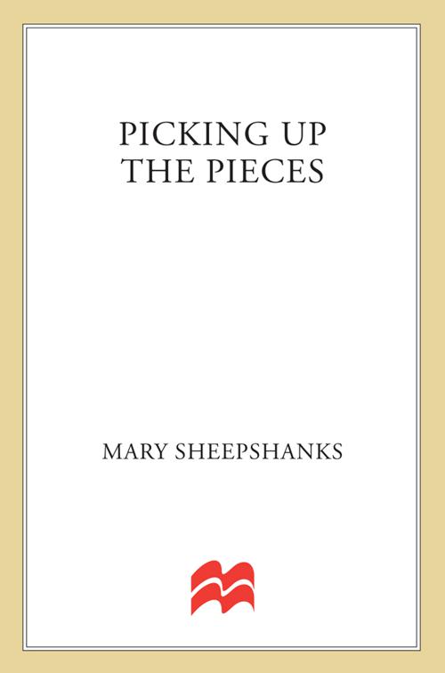 Picking Up the Pieces