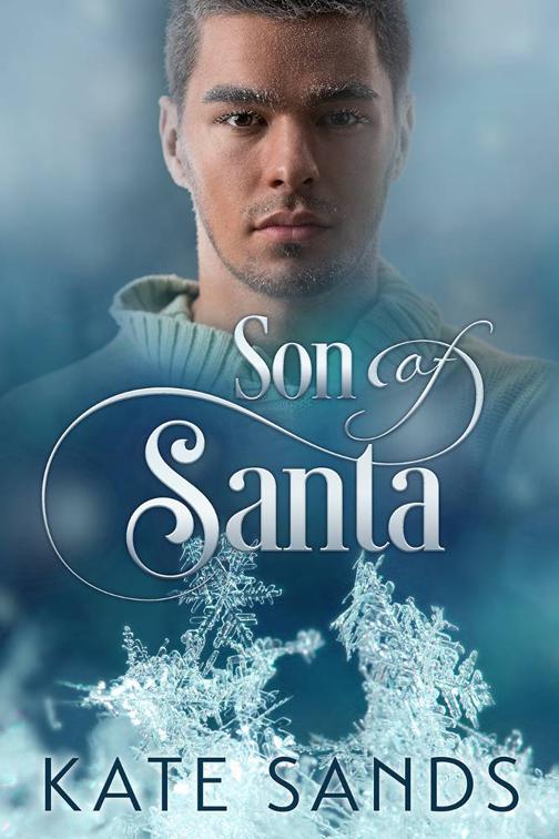 This image is the cover for the book Son of Santa, 2015 Advent Calendar - Sleigh Ride