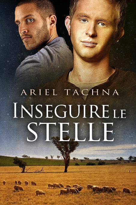 This image is the cover for the book Inseguire le stelle, Lang Downs (Italiano)