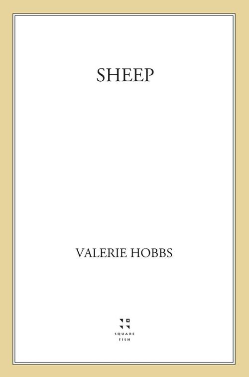 Sheep