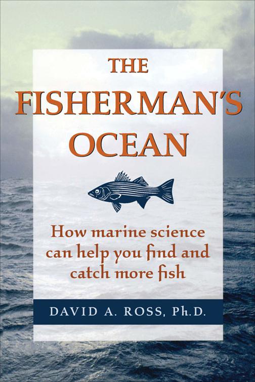 Fisherman&#x27;s Ocean