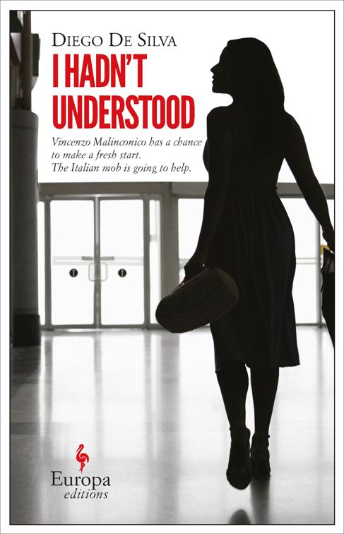 I Hadn&#x27;t Understood, The Vincenzo Malinconico Novels