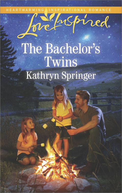 Bachelor&#x27;s Twins, Castle Falls