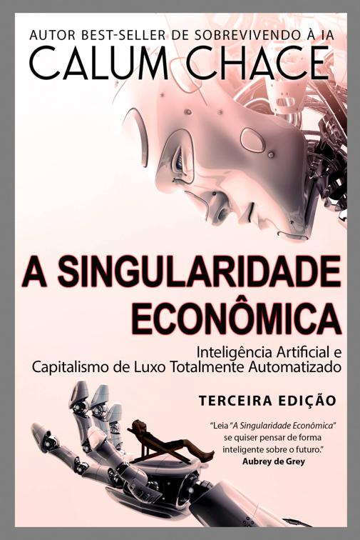 A Singularidade Econômica
