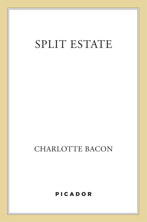 Split Estate