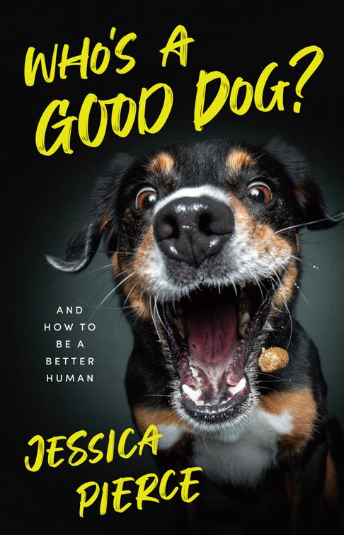 Who&#x27;s a Good Dog?