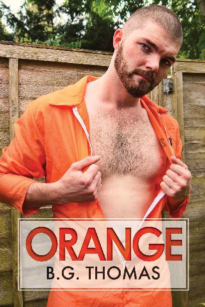 This image is the cover for the book Orange