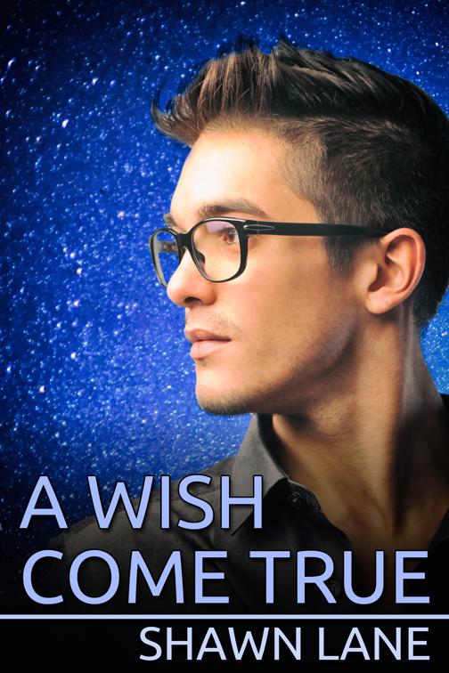 This image is the cover for the book A Wish Come True