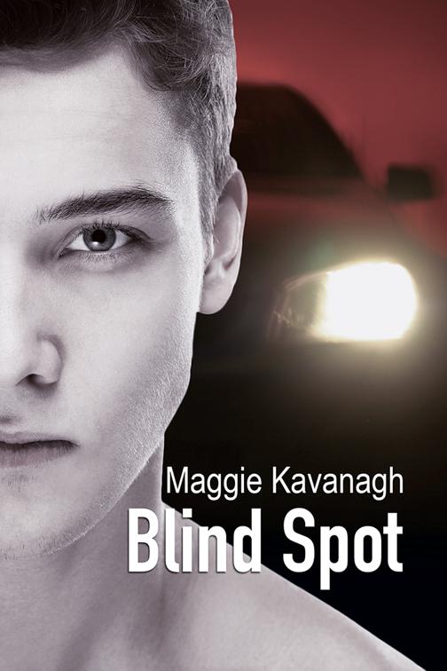 Blind Spot, The Stonebridge Mysteries
