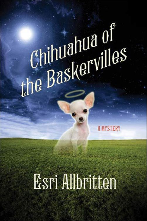 Chihuahua of the Baskervilles, Tripping Magazine Mysteries