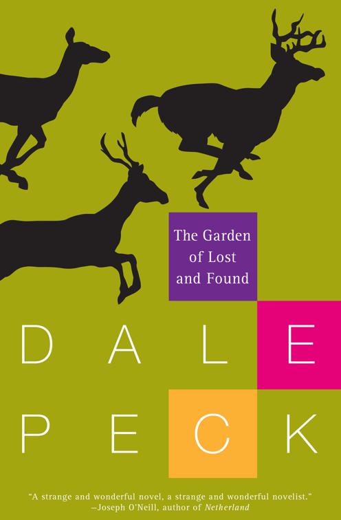 Garden of Lost and Found