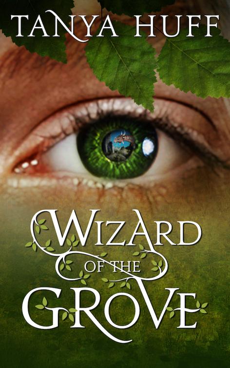 This image is the cover for the book Wizard of the Grove, Wizard of the Grove