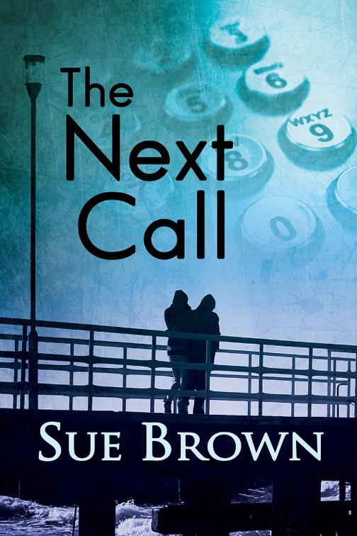 This image is the cover for the book The Next Call