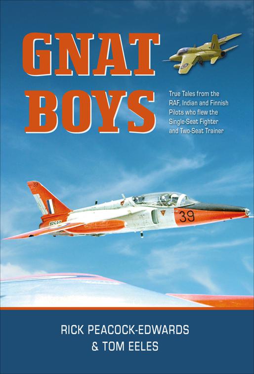 Gnat Boys