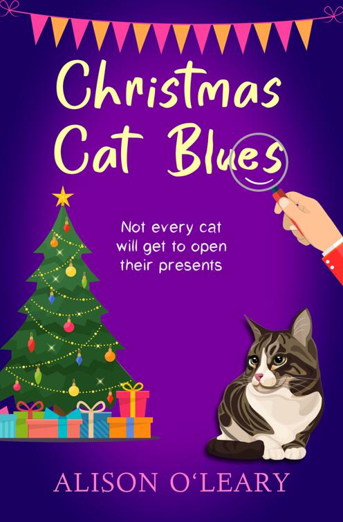 Christmas Cat Blues, Cat Noir