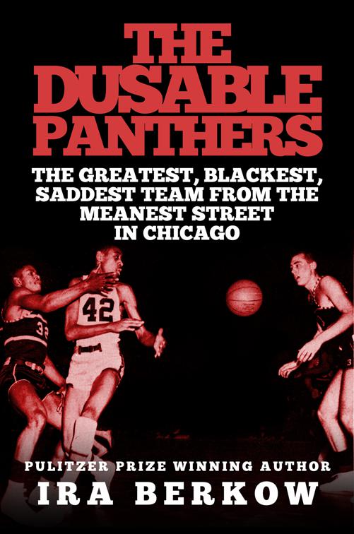 DuSable Panthers