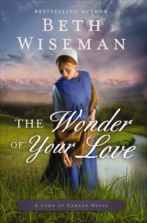 Wonder of Your Love, The Land of Canaan Novels