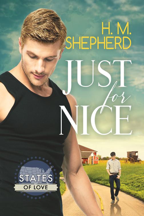 This image is the cover for the book Just for Nice, States of Love